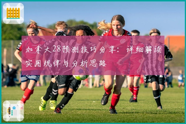 加拿大28预测技巧分享：详细解读实用规律与分析思路