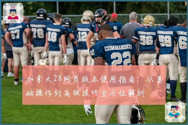 加拿大28网页版本使用指南：从基础操作到高级技巧全方位解析