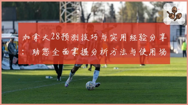 加拿大28预测技巧与实用经验分享：助您全面掌握分析方法与使用场景解析