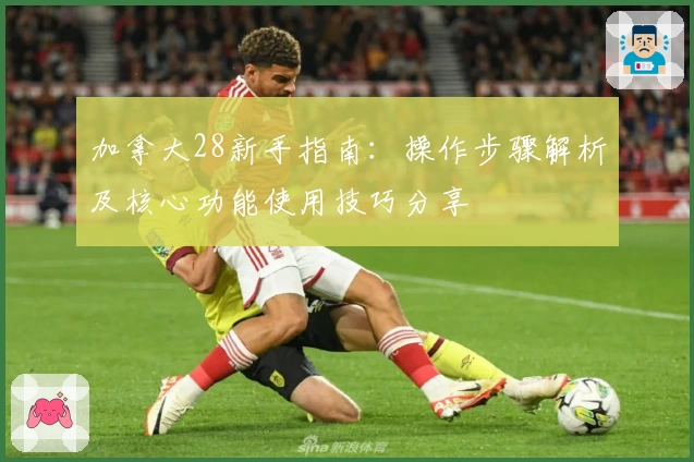 加拿大28新手指南：操作步骤解析及核心功能使用技巧分享