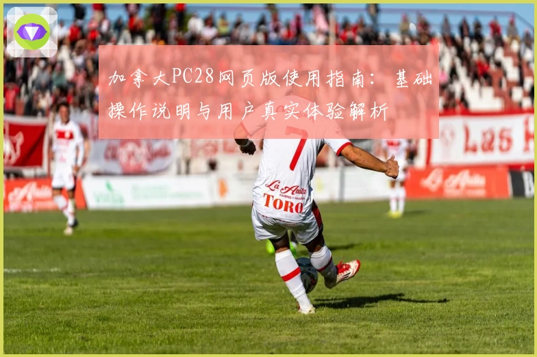 加拿大PC28网页版使用指南：基础操作说明与用户真实体验解析