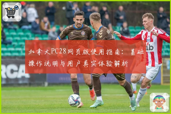 加拿大PC28网页版使用指南：基础操作说明与用户真实体验解析