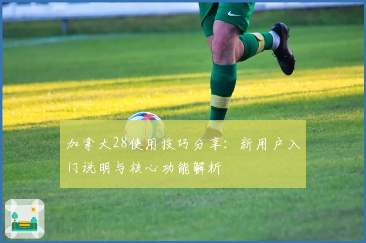 加拿大28使用技巧分享：新用户入门说明与核心功能解析