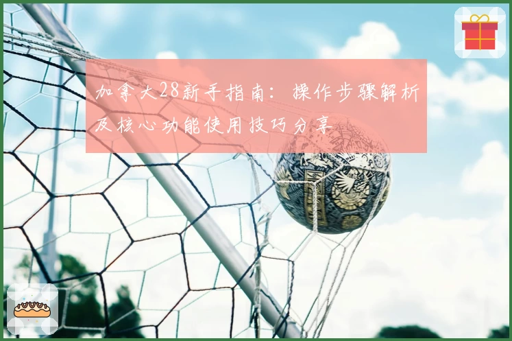 加拿大28新手指南：操作步骤解析及核心功能使用技巧分享