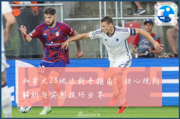 加拿大28玩法新手指南：核心规则解析与实用技巧分享