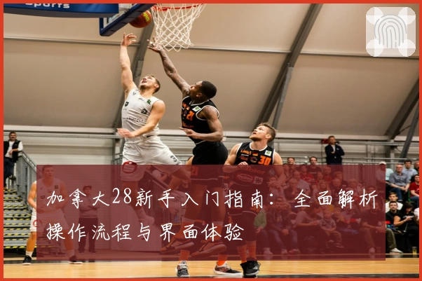 加拿大28新手入门指南：全面解析操作流程与界面体验